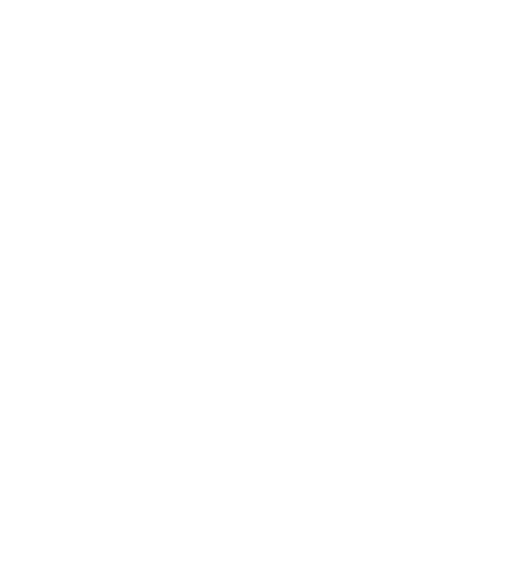 Custom Icon